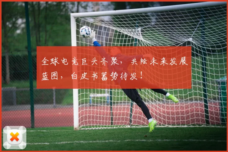 全球电竞巨头齐聚，共绘未来发展蓝图，白皮书蓄势待发！
