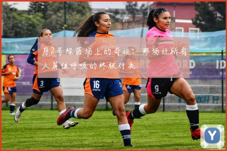 月2号绿茵场上的奇迹：那场让所有人屏住呼吸的终极对决